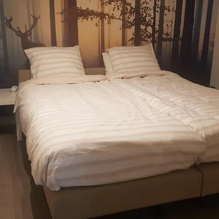 Apartmán Parc House *